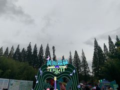 -黄海国家森林公园