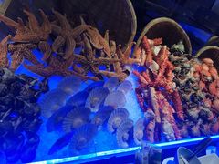 -Social 秀西餐厅-长沙瑞吉酒店(运达店)