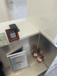 -天使之手