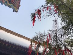 -兴教寺