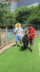 点击看大图 -萌宠亲子动物乐园(槐房万达店)