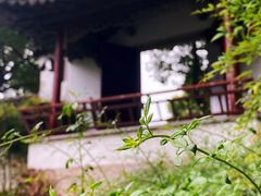 -范蠡湖公园