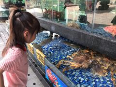 -大门水乡·顺德菜