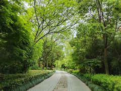 -西溪国家湿地公园