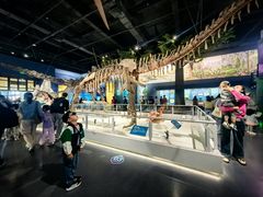 -国家自然博物馆