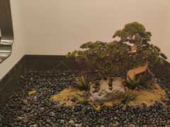 -高佳庄·海鲜酒楼(定海店)