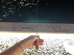 -DGE季风钓虾营地·团建·聚会