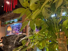 -阿婉贵州苗家酸汤鱼(梅林店)