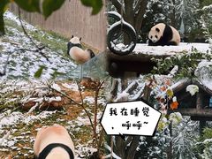 -济南野生动物世界