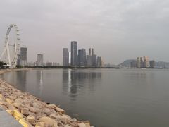 -宝安西湾红树林湿地公园