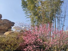 -和平公园