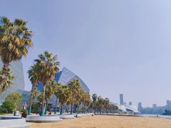 -金沙湖公园