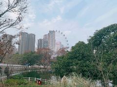 -塔子山公园