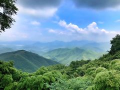 -莫干山风景区