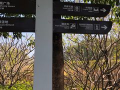 -广东花都湖国家湿地公园