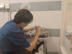 -全心全意动物诊疗中心医院(北苑店)
