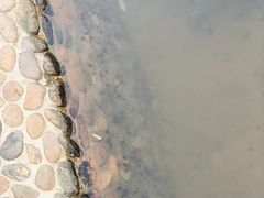 -晓港公园