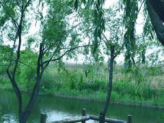 江湾湿地公园-新江湾城公园