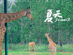 -秦皇岛野生动物园