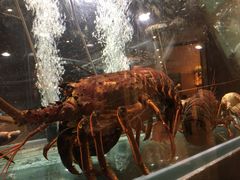 -稻香迎囍皇宫(港惠店)