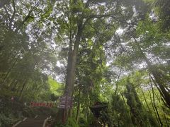-青城山