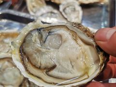 -蚝英雄·自助烤蚝(高新店)