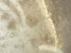 -探窝·竹笙椰子鸡(杨箕店)