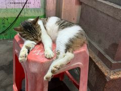 -中国银行(广州同福路支行)