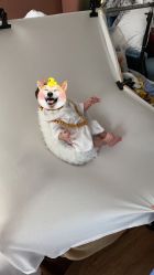 -西瓜庄园儿童摄影