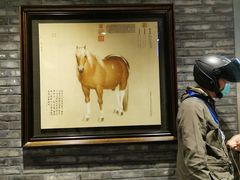 -滇越乘象云南餐厅(豆各庄店)