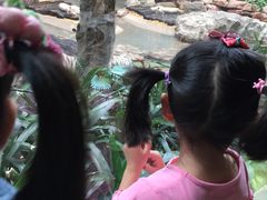 -麒麟中餐厅·经典粤菜·地道菜式老字号(广州长隆酒店)