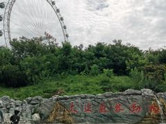 -大连森林动物园