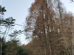 -山王坪喀斯特国家生态公园