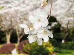 -钱江新城
