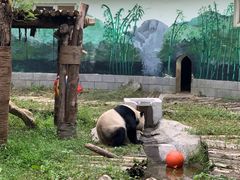 -南昌动物园
