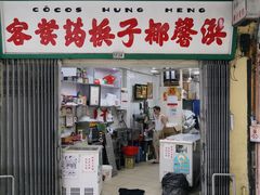 -洪馨椰子