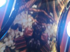 房间-蓝色派对KTV(聚然广场店)