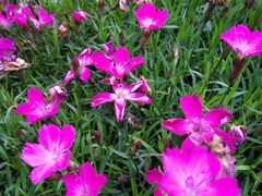 -上海不夜城广场(上海不夜城金融大厦店)