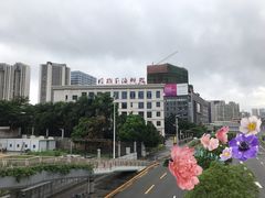-榕树下海鲜馆(坪山路店)