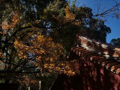 -昆明市金殿名胜区