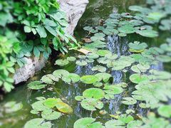 -莲池书院博物馆