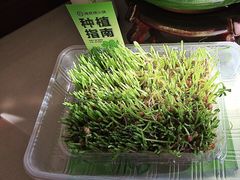 -海底捞火锅(上地华联店)