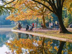 -上海共青森林公园