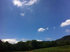 -十八棵（老龙井）御茶园(老龙井店)