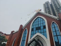 -迦南之约济南西式婚礼(济南店)