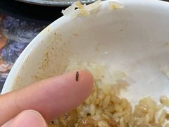 -膳当家黄焖鸡米饭(万科棉花广场店)