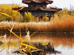 -青城公园