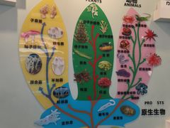 -金钉子远古世界景区