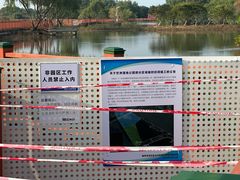 -芒洲湿地公园