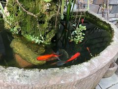 -龙抄手(文殊坊店)